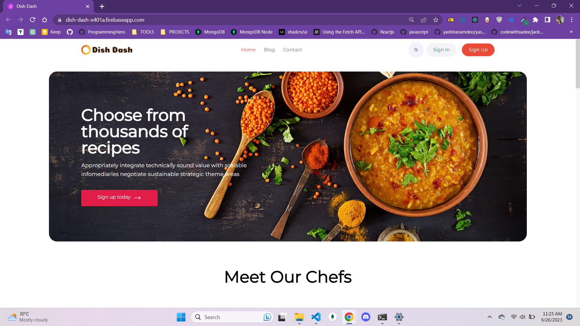 Ecommerce Website